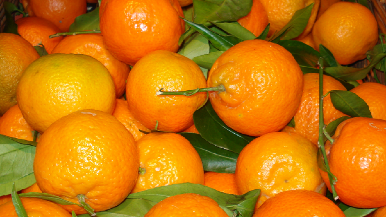 Southern African citrus growers are being urged to follow updated plant-protection product restrictions to ensure fruit meets changing residue limits in key export markets.