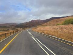 KwaZulu-Natal is launching a forensic investigation into the awarding of guardrail contracts following arrests linked to the theft of road infrastructure.